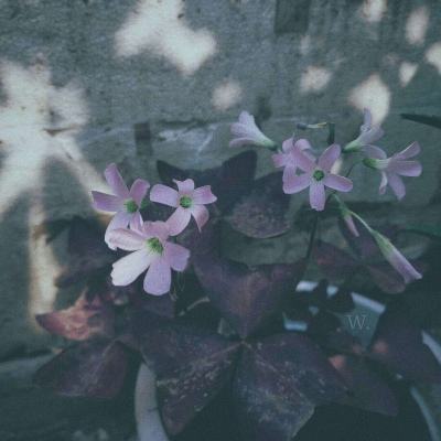 乐天堂点评指导截图